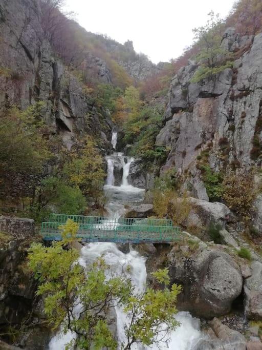 Gite De Noe Au Ray-Pic Pereyres المظهر الخارجي الصورة