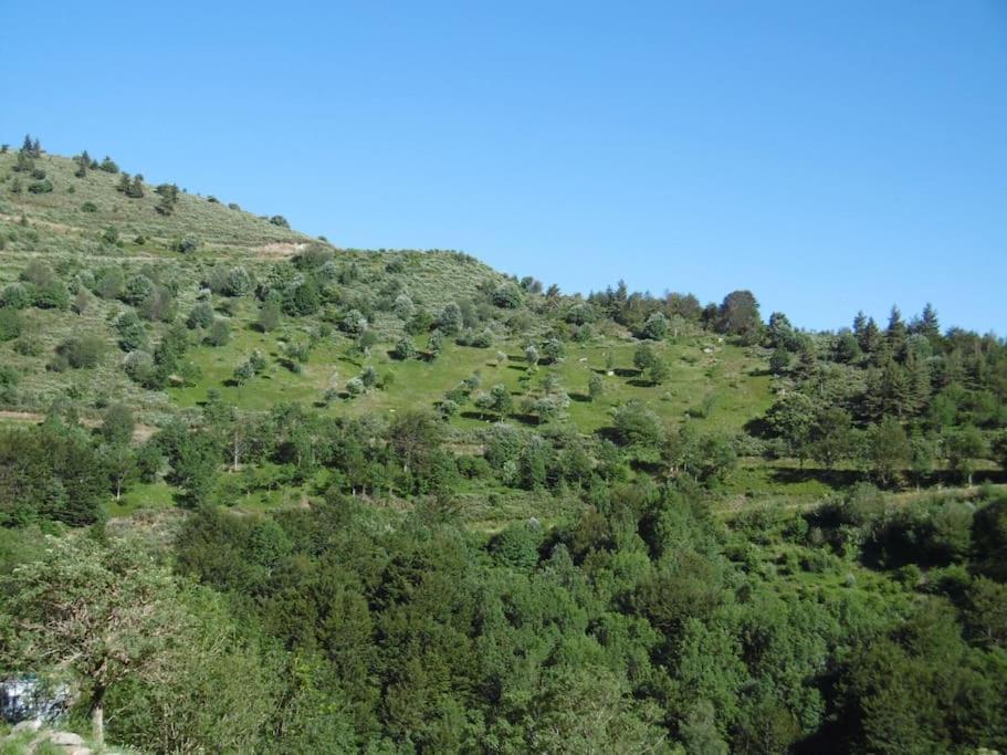 Gite De Noe Au Ray-Pic Pereyres المظهر الخارجي الصورة